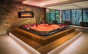 Hotel&SPA Moreni